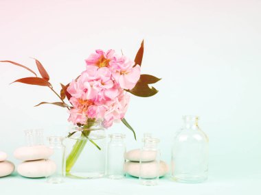 özlü, taşlar ve çiçek bir vazo içinde. denge ve sakin