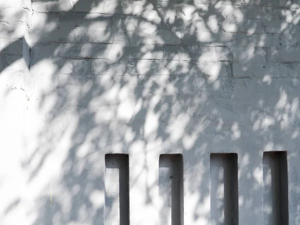 Sonnenlicht und Schatten an der Wand von den Blättern — Stockfoto