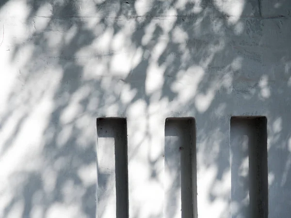 Sonnenlicht und Schatten an der Wand von den Blättern — Stockfoto