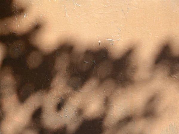 太阳能的眩光和树叶从墙上的影子 — 图库照片