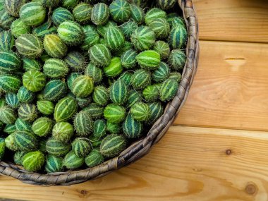 Melothria parlak yeşil meyve. Egzotik salatalık kabak aileden