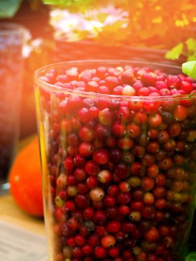 taze ve lezzetli cranberries - meyve ve sebze