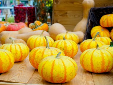 Kırsal alanda kabaklar.