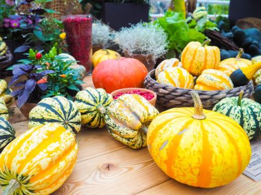 büyük portakal kabak ve saman diğer kabak, ülke tarzı, sonbaharda adil hasat