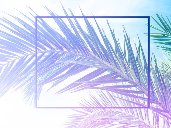 Nature Minimal Concept - Yeşil palmiye degrade ile neon tonlama beyaz kağıt çerçeve ile Arka Plan Bırakır.