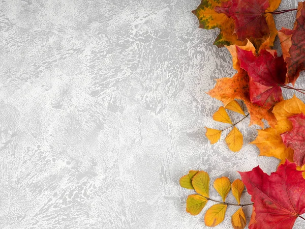 Herbstblätter im Hintergrund. Selektiver Fokus. Herbst ist Verfall der Natur. — Stockfoto