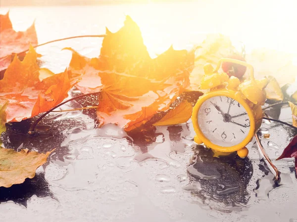 Tempo de Outono - Fim de verão - Retorno à hora de inverno — Fotografia de Stock