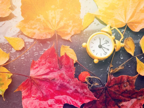 Retro relógio amarelo e folhas de outono amarelas em um backgroun preto — Fotografia de Stock