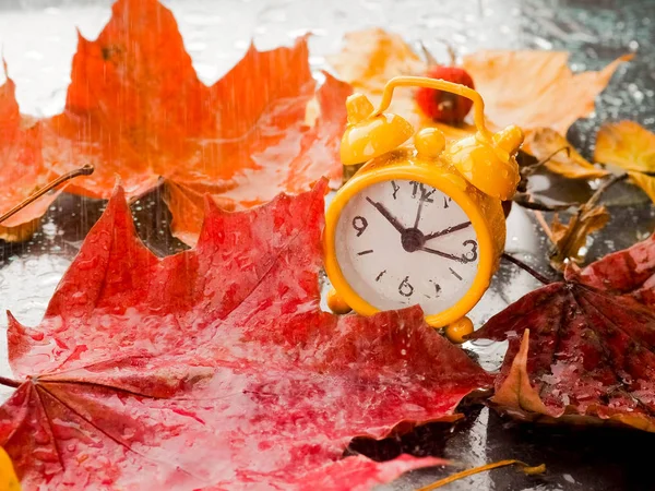 Retro gelbe Uhr und gelbe Herbstblätter auf schwarzem Hintergrund, Konzept, Herbst, fallend, als Untergrund flach liegend — Stockfoto