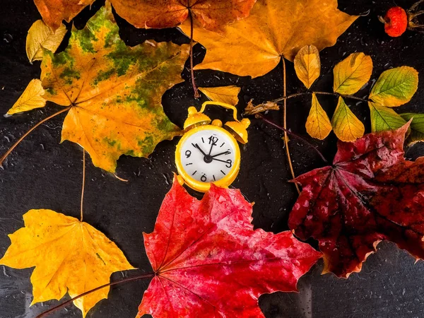 Retro-gelbe Uhr und gelbe Herbstblätter auf schwarzem Hintergrund — Stockfoto