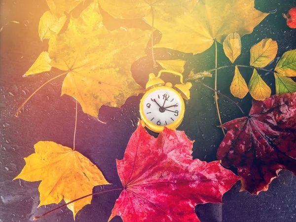 Reloj amarillo retro y hojas amarillas de otoño sobre un fondo negro —  Fotos de Stock