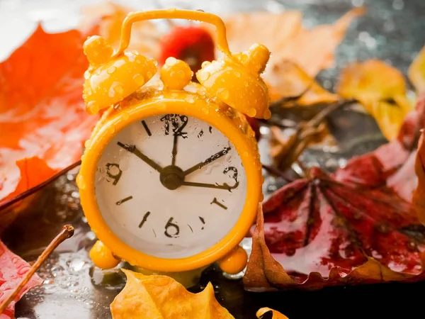 Reloj despertador vintage con hojas de arce sobre fondo blanco con b —  Fotos de Stock