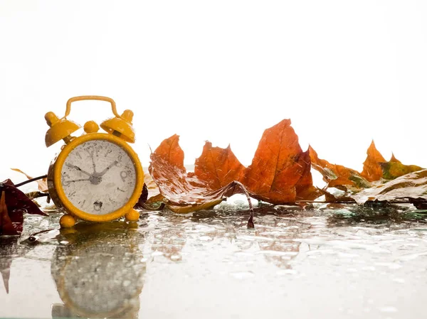 Reloj despertador vintage con hojas de arce sobre fondo blanco con b —  Fotos de Stock