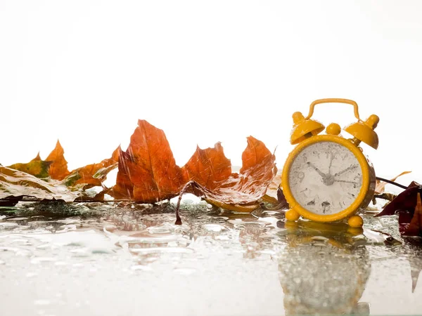 Relógio de alarme vintage com folhas de bordo no fundo branco com bokeh — Fotografia de Stock