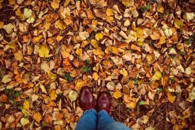 Sonbahar, sonbahar, yapraklar, bacaklar ve ayakkabılar. Sonbahar yapraklarındaki çizmelerin kavramsal görüntüsü. Doğada yürüyen ayaklar