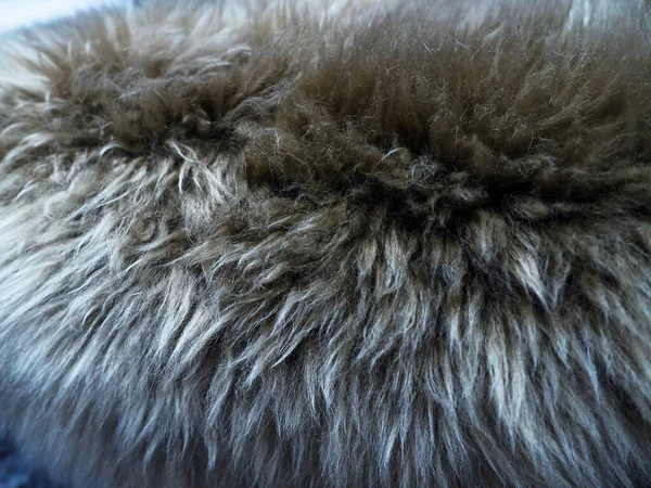 Schafwolle Hintergrund, natürliche flauschige Fell Schafwolle. — Stockfoto