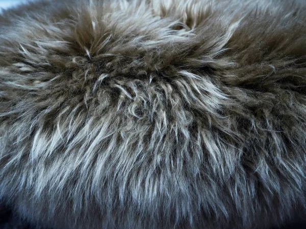 Lana di pecora sfondo, lana di pecora naturale soffice pelliccia . — Foto Stock