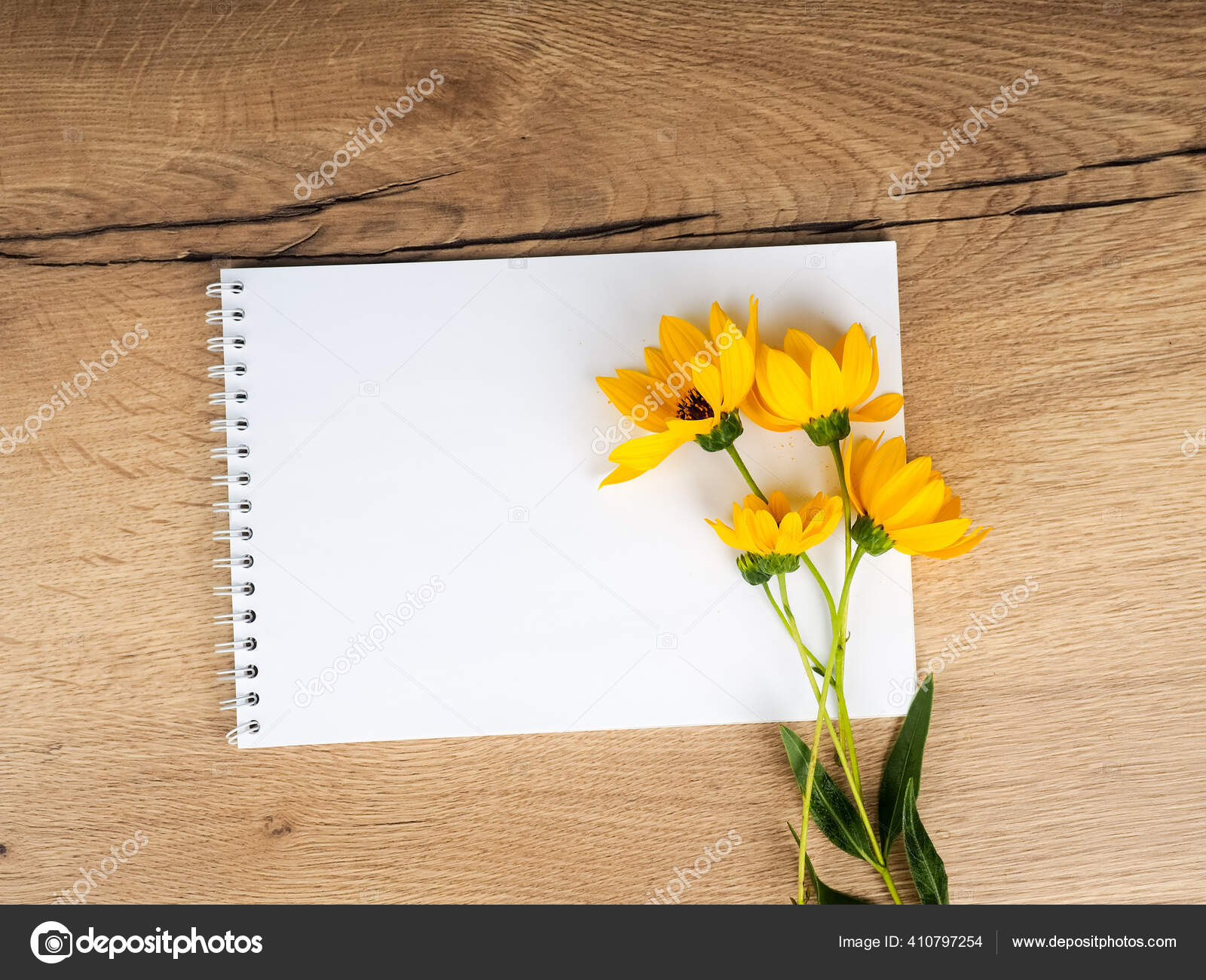 Una Flor Campo Está Acostada Una Mesa Madera Junto Cuaderno: fotografía de stock © byallasaa #410797254 | Depositphotos Una Flor Campo Está Acostada Una Mesa Madera Junto Cuaderno: fotografía de stock © byallasaa #410797254 | Depositphotos