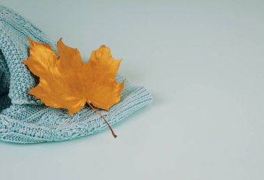 Sonbahar minimalist kompozisyonu, mavi örülmüş süveter üzerinde altın akçaağaç yaprağı.