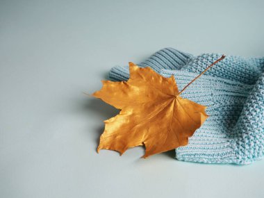 Sonbahar minimalist kompozisyonu, mavi örülmüş süveter üzerinde altın akçaağaç yaprağı.