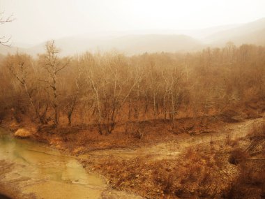 Seçici odak ve renkli bulanık doğal arka plan, kırmızı, turuncu ve sarı yapraklardan oluşan orman tabanı.