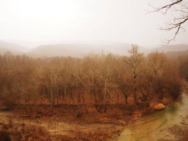 Seçici odak ve renkli bulanık doğal arka plan, kırmızı, turuncu ve sarı yapraklardan oluşan orman tabanı.