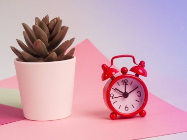 Çok Renkli Arkaplanda Alarm Saati, Not Defteri, Kalem ve Saksı Bitkisi.