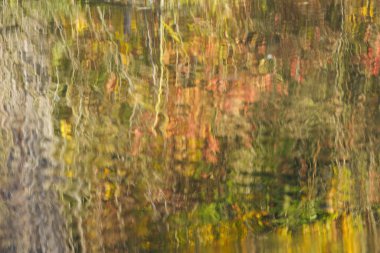 Ağaçların sonbahar renkleri göle yansıyor, sulara yansıyan ağaçlar, kırmızı ve yeşil ışıldayan nehir, güzel sulu su yüzeyi