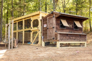 Orman zemininde tek bir kozalak. Çam iğneleriyle kaplı bir orman zemininde tek bir kozalak yatıyor. Arka planda, uzun ağaçlar bulanık bir efektle yükselirler ve koniyi odak noktası olarak vurgularlar.. 