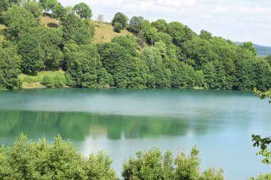 Ormandaki göl manzarası
