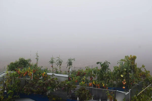 Doğanın güzel manzarası