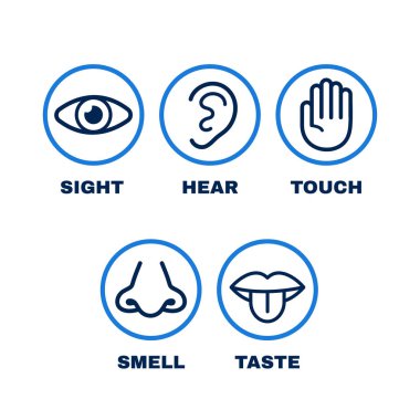 Satır Icon set beş insan duyu
