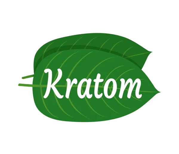 Mitragyna speciosa, logo daun kratom - Stok Vektor