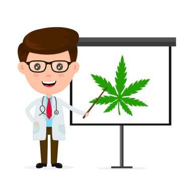 Mutlu gülümseyen doktor. Çizim, bir beyaz tahta üzerinde marihuana otu hakkında sunum yapma düz çizgi film karakteri modern tarzı illüstrasyon simge. Doktor ilaç tanıtımı kavramı. Tıbbi esrar