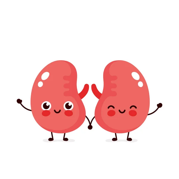 Strong cute healthy happy kidneys — Stock Vector