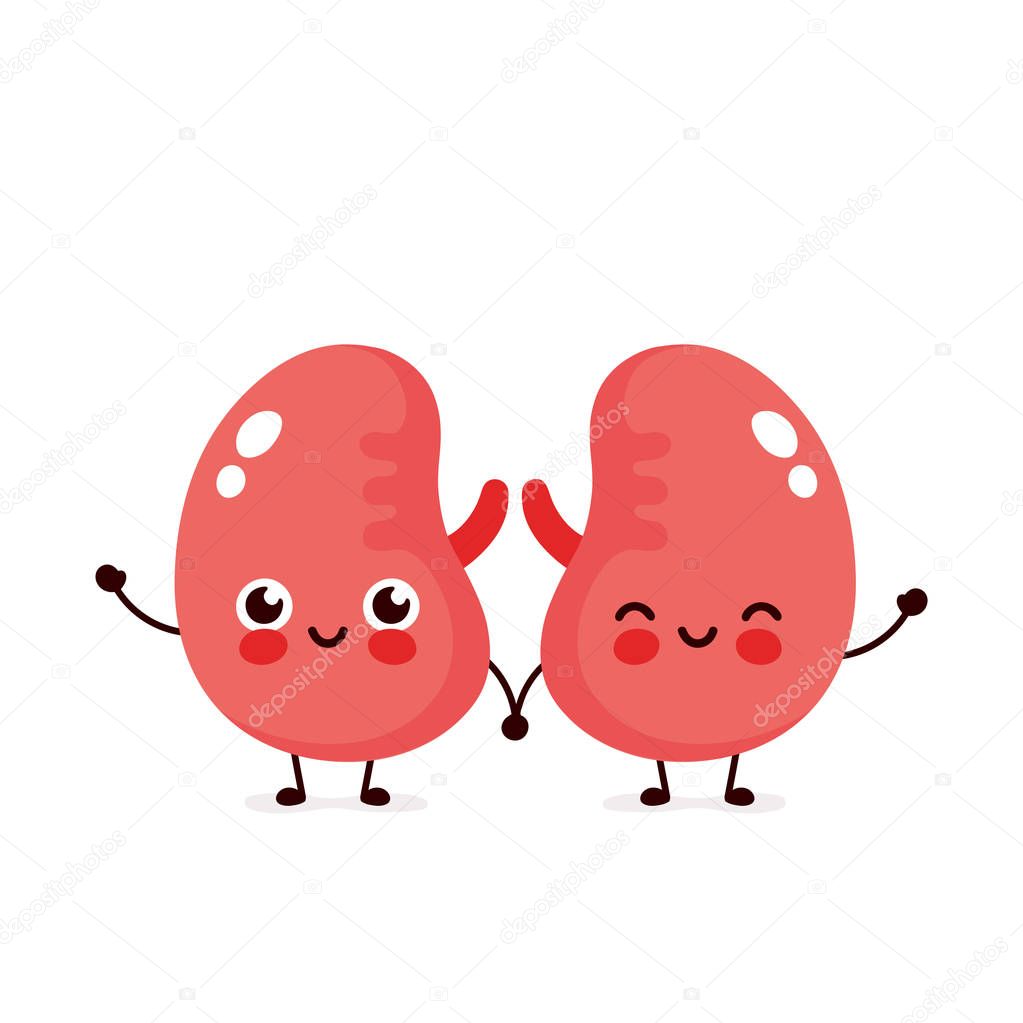 Strong cute healthy happy kidneys 