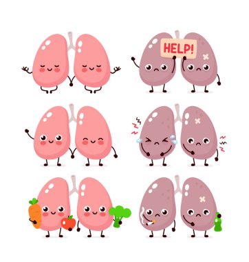 Sevimli akciğerler ayarlandı. Sağlıklı ve sağlıksız insan organı