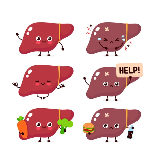 Human liver organ set collection. Vector — Stock Vector