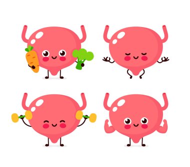 Sevimli sağlıklı mutlu Mesane organı 