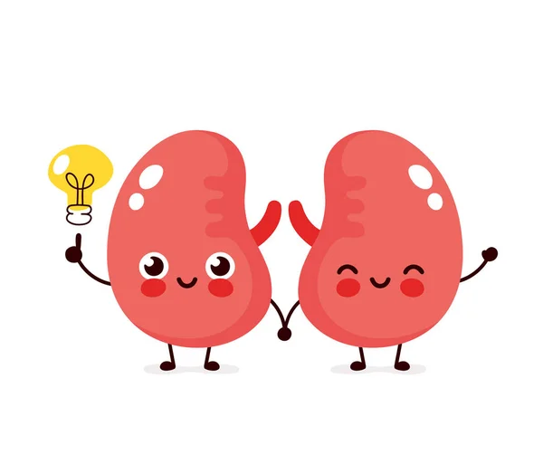 Happy cute kidneys with lightbulb character — Stock Vector