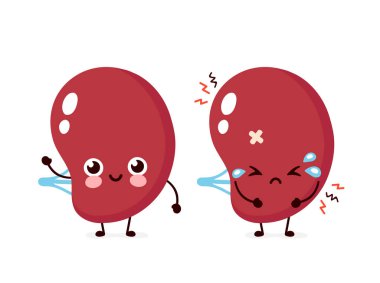 Üzgün sağlıksız ve mutlu güçlü insan dalak organı