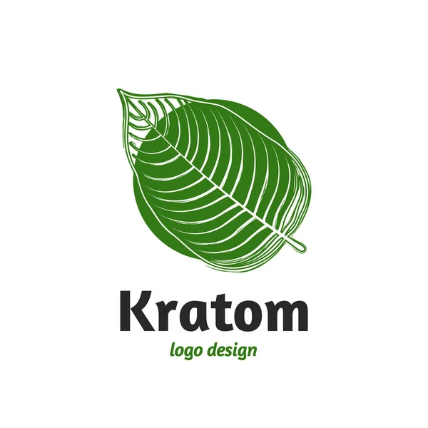 Mitragyna speciosa, plantilla de logotipo de hoja de kratom — Archivo Imágenes Vectoriales