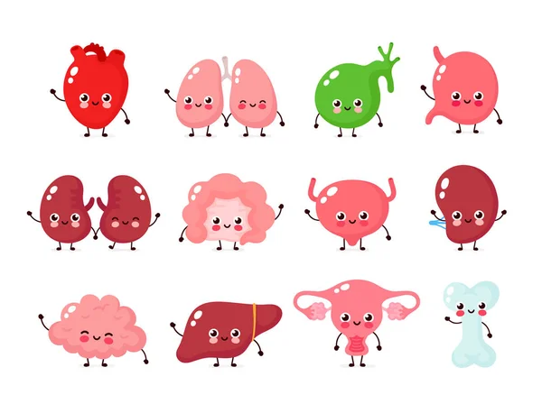 Carino felici sani sani organi forti insieme . — Vettoriale Stock