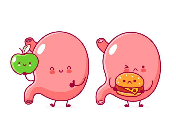 Feliz con manzana y triste con hamburguesa órgano del estómago — Vector de stock