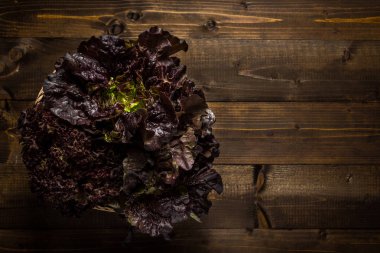 Kopya alanı koyu ahşap zemin üzerine kırmızı meşe yaprak marul