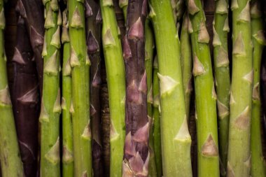 Koyu ahşap arka plan üzerinde kuşkonmaz çeşitleri