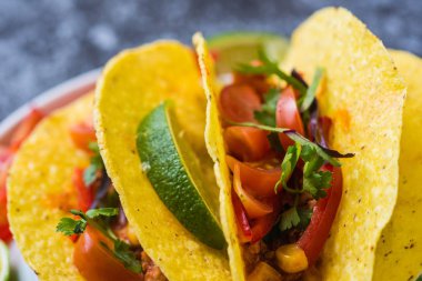 Kabuklarında gri arka plan üzerinde renkli Meksika Tacos