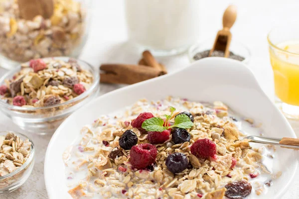 Healthy Breakfast Muesli With Milk, Chia Seeds, Berries and Cinn — Stock Photo, Image