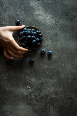 Blueberrys rustik koyu arka plan üzerinde tutan eller. Superfood sağlıklı beslenme kavramı.