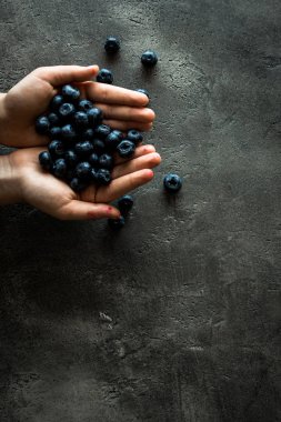 Blueberrys rustik koyu arka plan üzerinde tutan eller. Superfood sağlıklı beslenme kavramı.